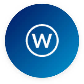 Il capo può essere sottoposto a un procedimento di lavaggio a umido.